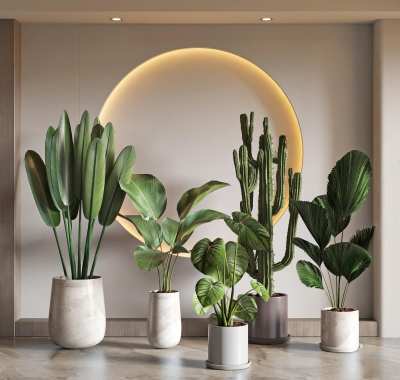 现代盆栽植物组合3D模型下载